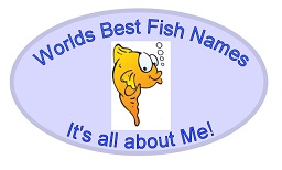 World's Best Fish Names